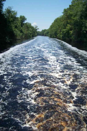 brown water